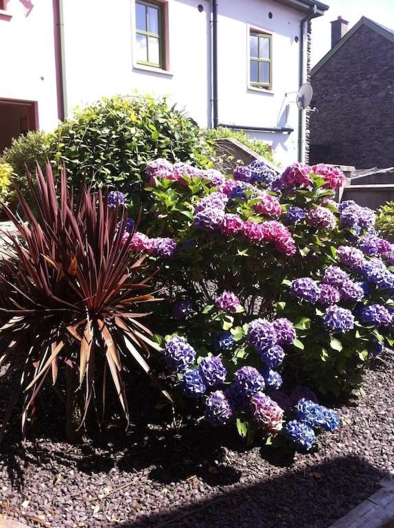 Burnham View Villa Dingle Exterior photo